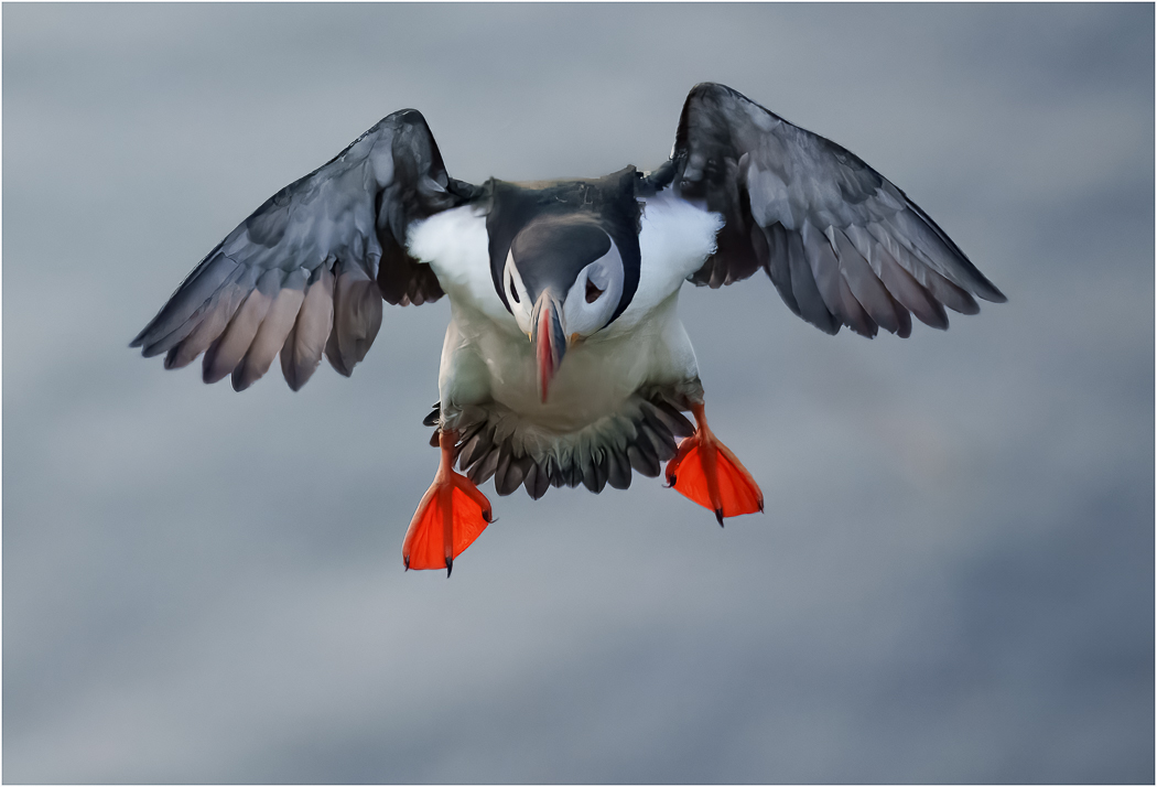 Litwin Barry Incoming Flaps Down AssignedSubject   Motion Photography 20251008